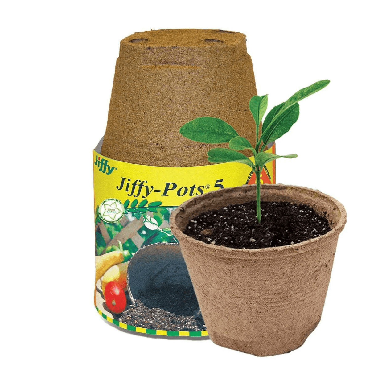 Jiffy - Super Arbor