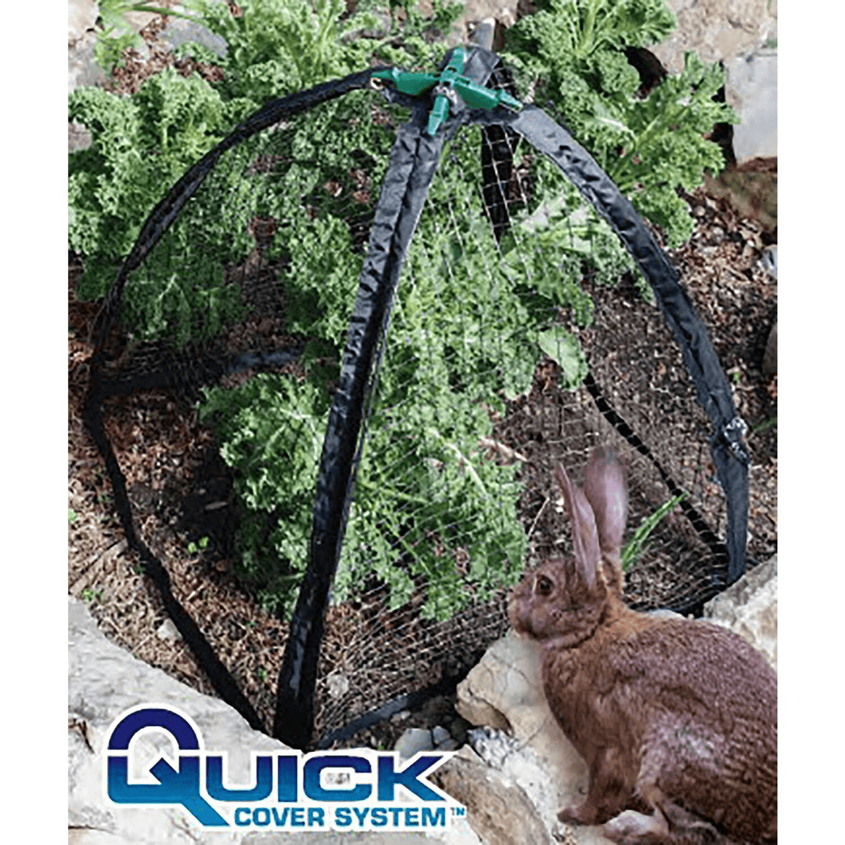 NuVue Products - Super Arbor