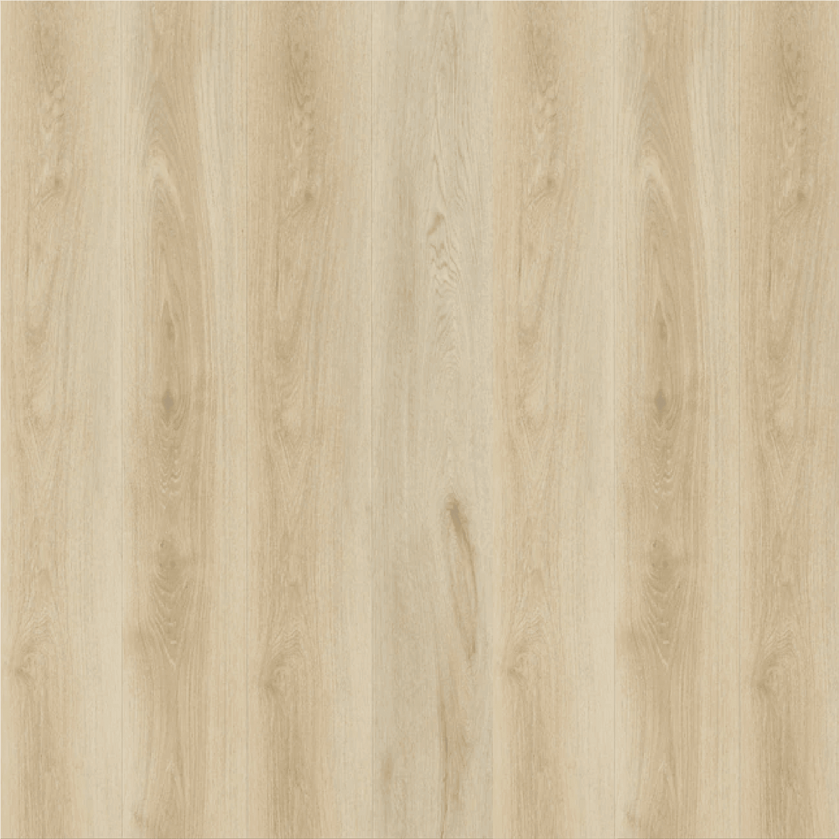 STAINMASTER PetProtect | Scratch-Resistant & Waterproof Vinyl Flooring - Super Arbor