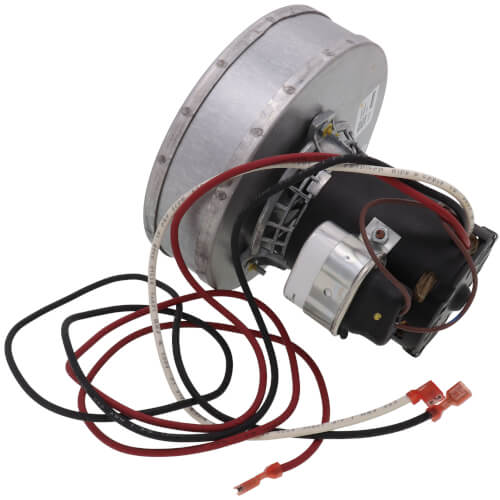 Goodman-Amana 0131L00002S blower motor - label view (Product Type: Blower Motor)