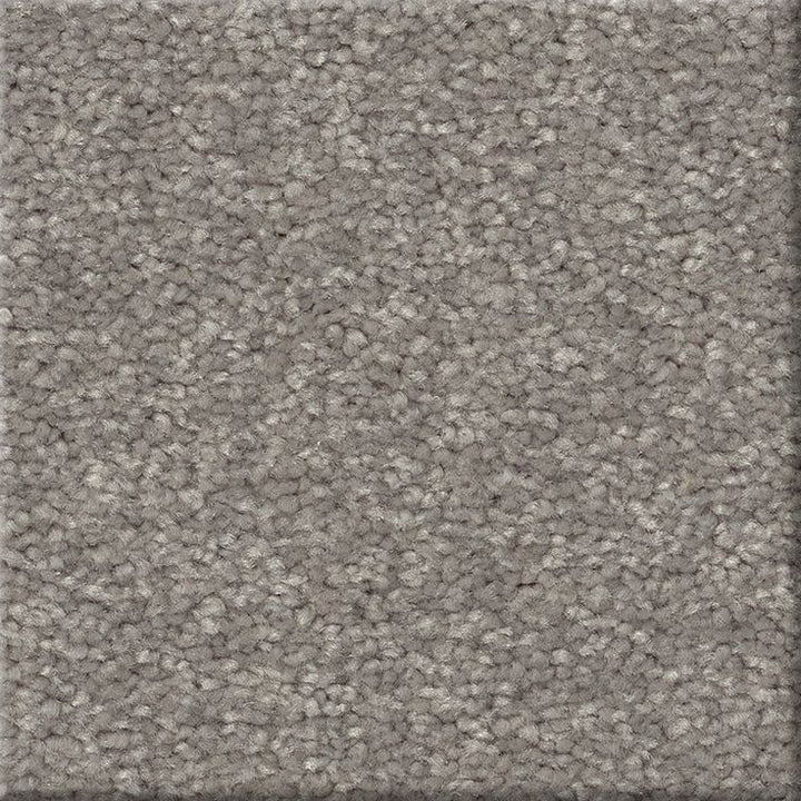STAINMASTER Essentials Blue Diamonds III 12-ft Dusty Trail Textured Carpet Sample (Interior)