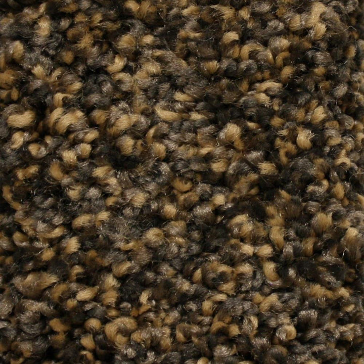 STAINMASTER Essentials Cadiz Moorgate Textured Carpet (Indoor)