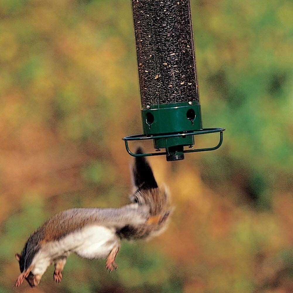 0386a4db-0753-4d63-98ba-ce9d28d4535a_1.fac568fcae06c27130dee91f55143e0e_-235160263.jpeg