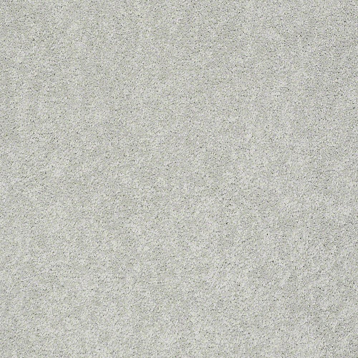 STAINMASTER PetProtect Baxter I Mac Textured Carpet (Indoor) — 12-ft Roll Width
