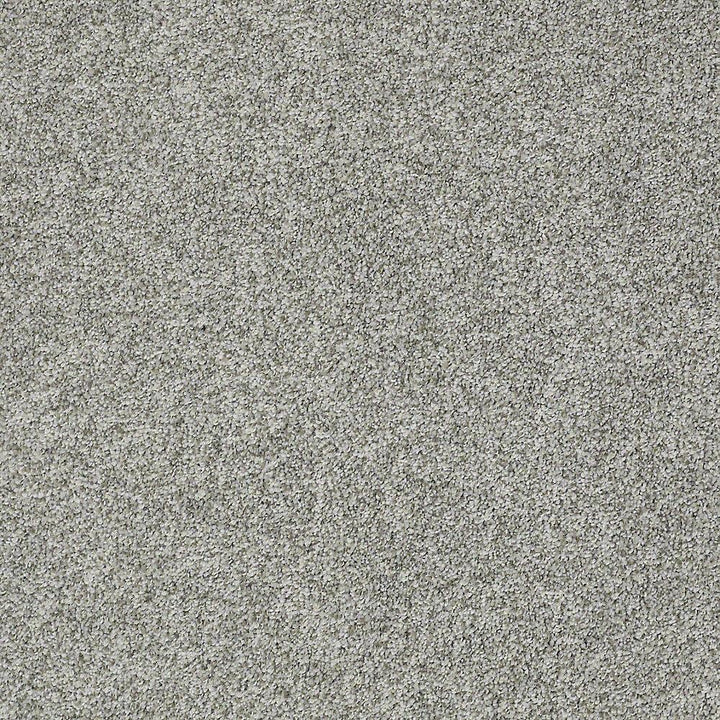 STAINMASTER PetProtect Baxter II Roscoe Textured Carpet (Indoor)