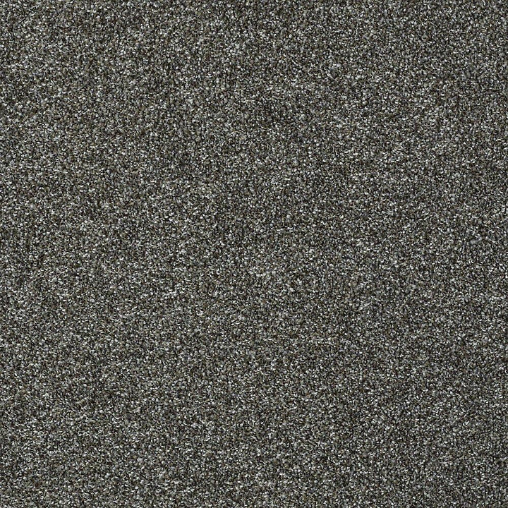 STAINMASTER PetProtect Baxter I Charlie Textured Carpet (Indoor)