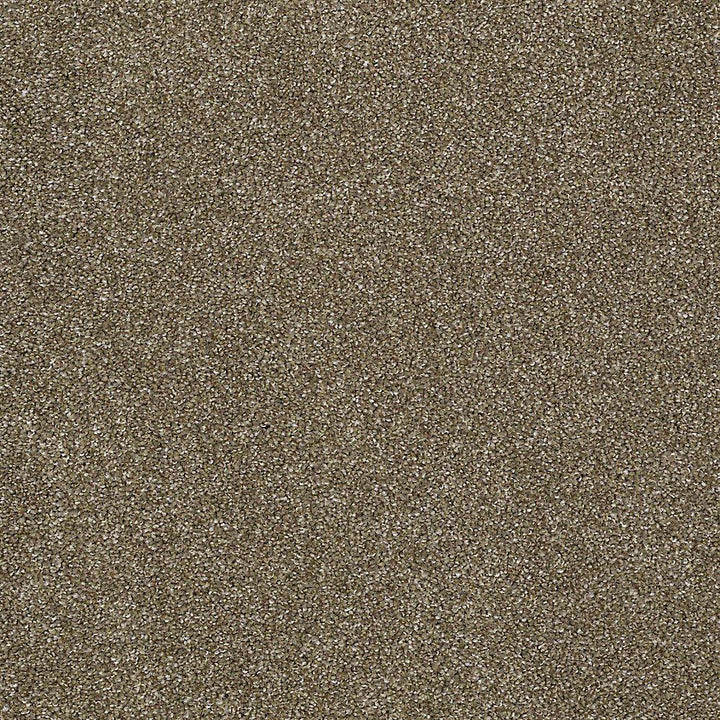 STAINMASTER PetProtect Baxter IV Dachshund Textured Carpet (Indoor, 12-ft Roll Width)