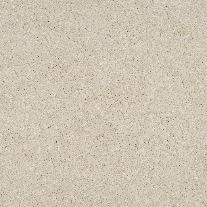 STAINMASTER PetProtect Baxter I Pug Textured Indoor Carpet, 12‑ft Roll Width