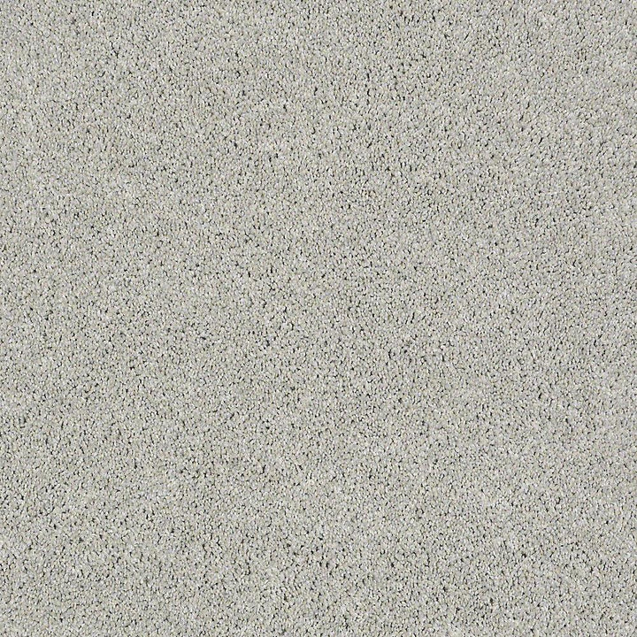 STAINMASTER PetProtect Baxter II Gizmo Textured Indoor Carpet, 12-ft Roll Width