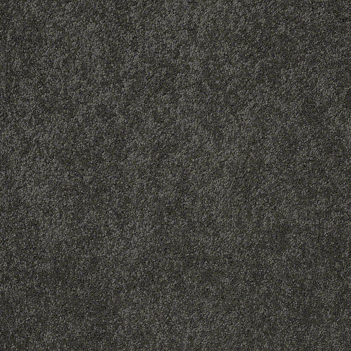 STAINMASTER PetProtect Baxter I Roxy Textured Indoor Carpet, 12-ft Roll Width, Medium Pile
