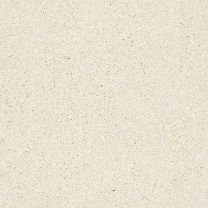 STAINMASTER PetProtect Baxter I Lucy Textured Indoor Carpet, 12-ft Roll Width