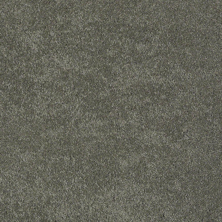 STAINMASTER PetProtect Baxter I Winston Textured Carpet (Indoor) - 12-ft Roll Width