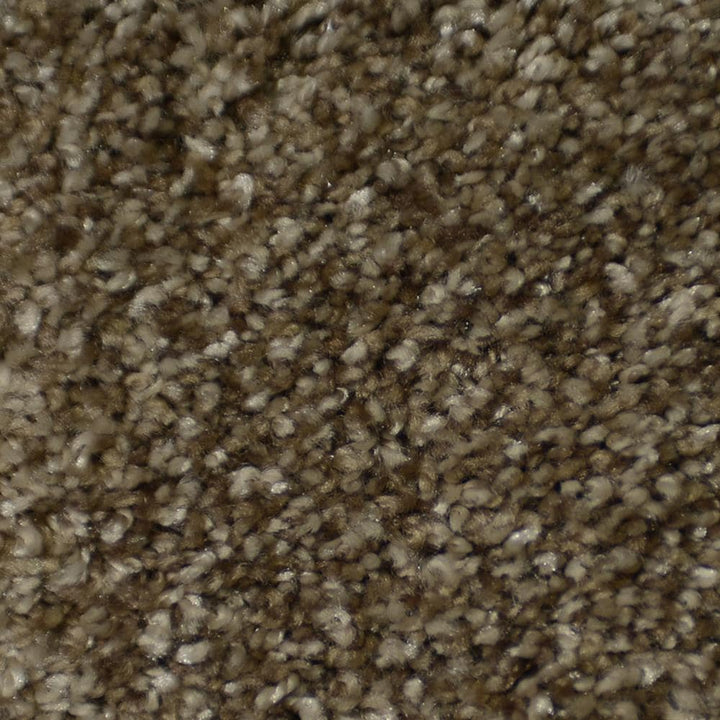 STAINMASTER Signature Cinema Montage Textured Carpet Sample (Interior)