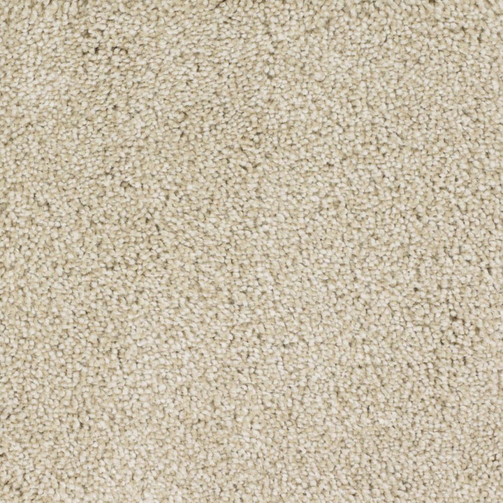 STAINMASTER Signature Briar Patch Bamboo Textured Indoor Carpet, 12-ft Roll Width