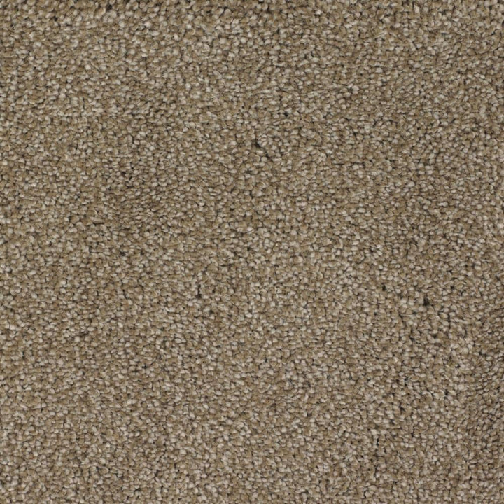 STAINMASTER Signature Shafer Valley Donner Textured Indoor Carpet, 12-ft Roll Width