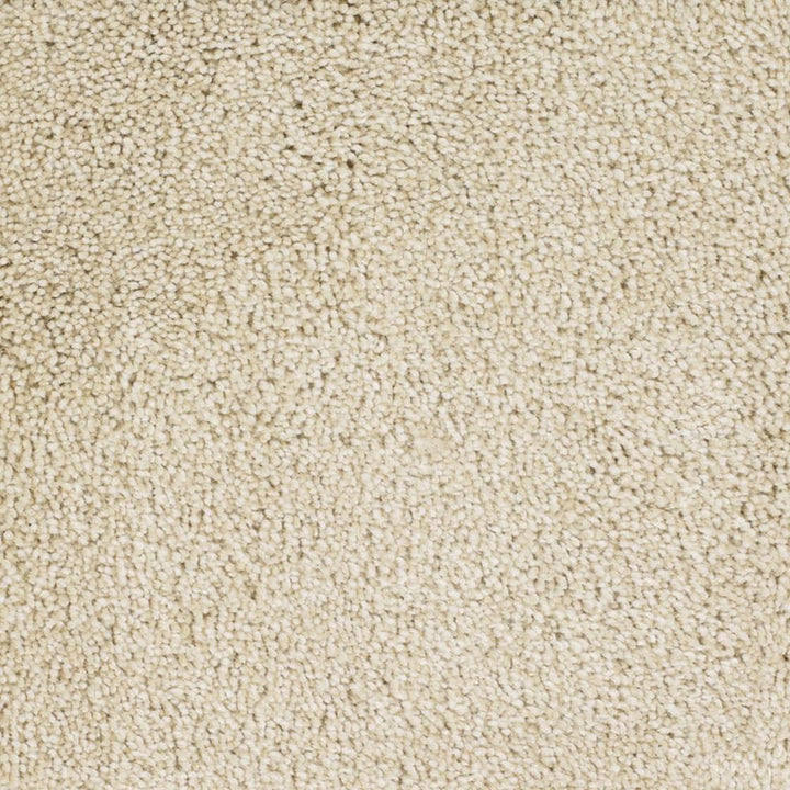 STAINMASTER Signature Briar Patch Tranquil Textured Carpet Sample (Interior)