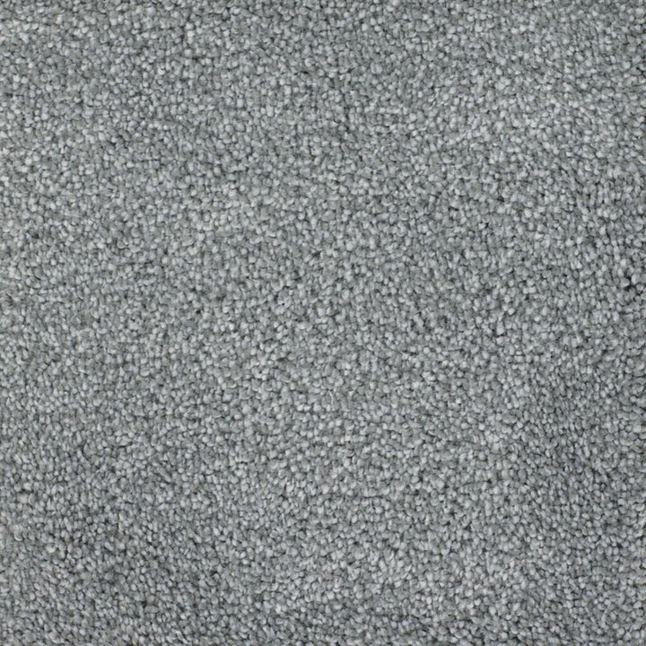 STAINMASTER Signature Briar Patch Meritage Textured Carpet Sample (Interior, 8-in x 8-in)
