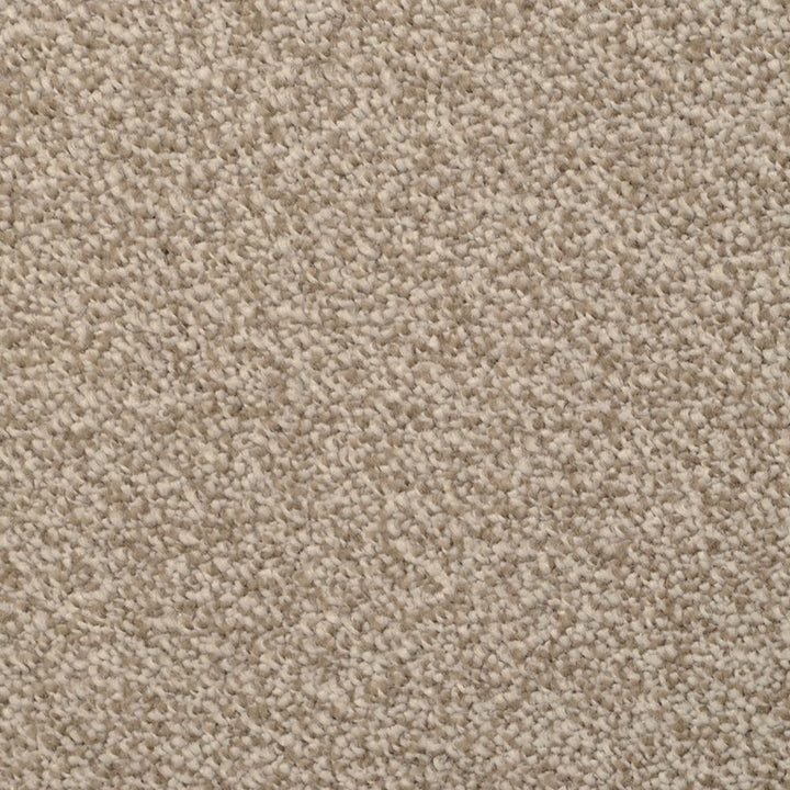 STAINMASTER Signature Pleasant Point Granada Textured Carpet Sample (Interior)