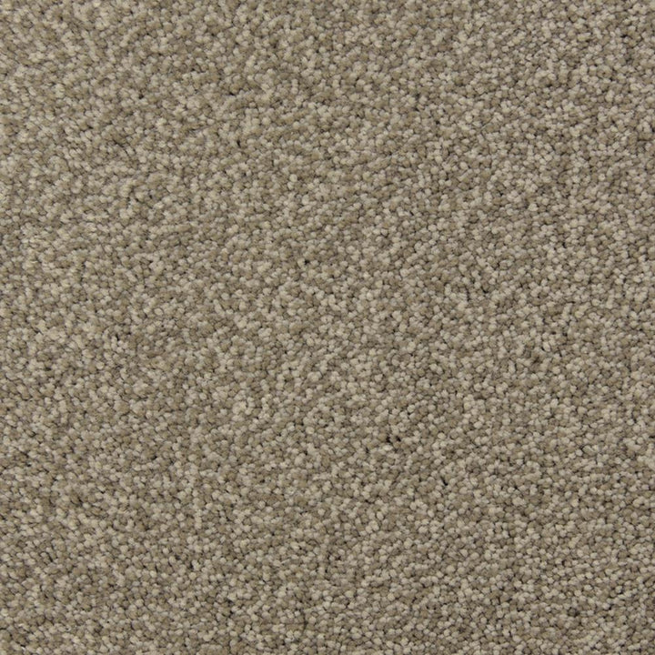 STAINMASTER PetProtect Magnetic Limestone Textured Carpet Sample (Interior)