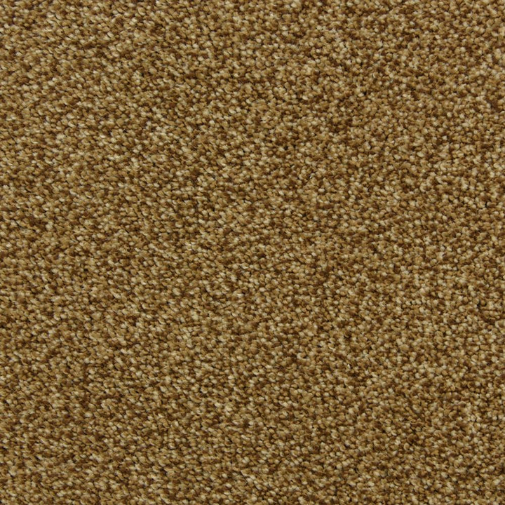 STAINMASTER PetProtect Hypnotized Brownstone Textured Carpet Sample (Interior) – 8 in x 8 in