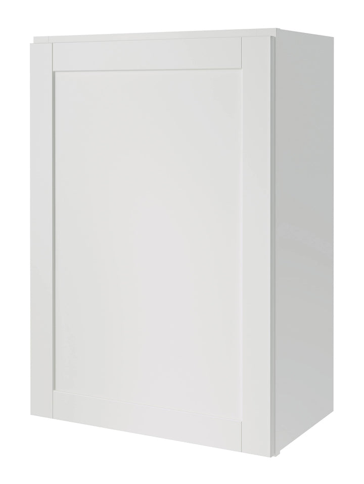 Diamond NOW Arcadia 21-in W x 30-in H x 12-in D White Wall Fully Assembled Cabinet (Recessed Panel Shaker Door Style)