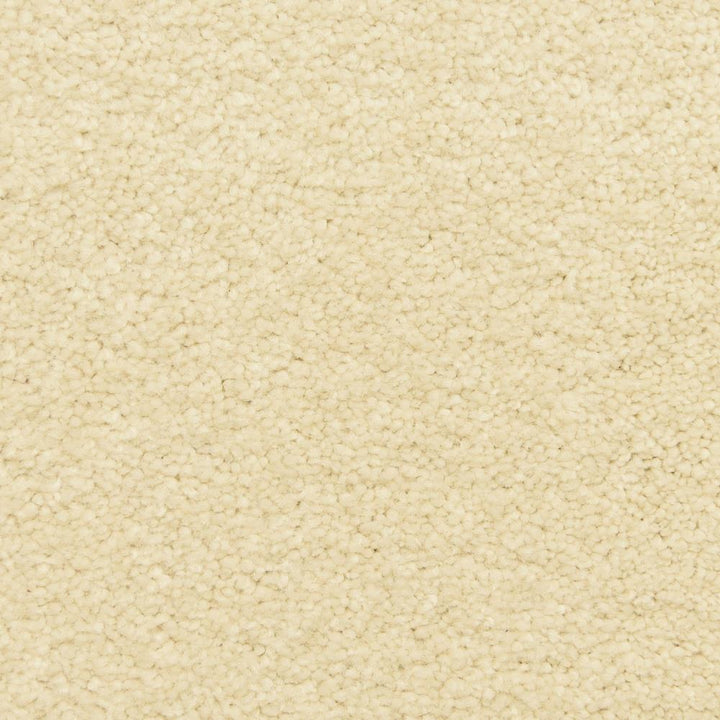 STAINMASTER LiveWell Fairy-Tale Cottontale Textured Carpet Sample (Interior)