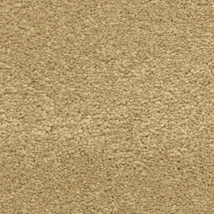 STAINMASTER LiveWell Fairy-Tale Alice Textured Carpet Sample, 8-in x 8-in (Interior)