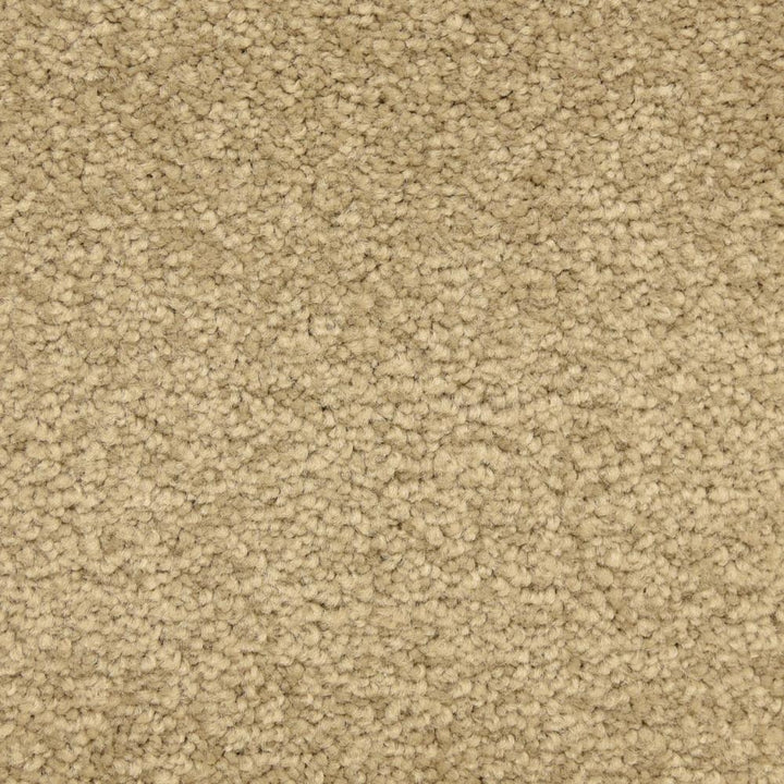 STAINMASTER LiveWell Hush-Hush Hansel Textured Carpet Sample, 8-in x 8-in (Indoor)