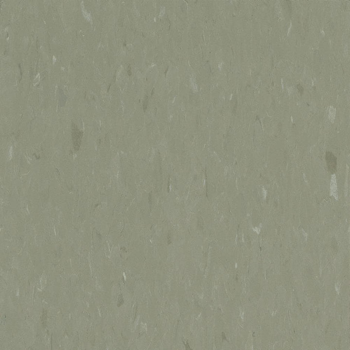 Congoleum Alternatives 45-Piece 12-in x 12-in Sage VCT Tile
