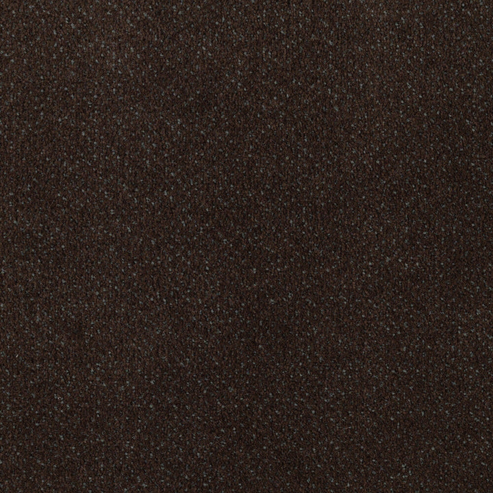 STAINMASTER Home & Office Music Store Dark Roast Pattern Carpet (Interior)