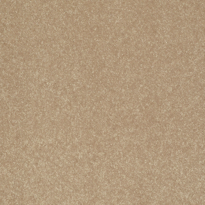 STAINMASTER Essentials Intuition III 12-ft Golden Lab Textured Carpet Sample (Interior)