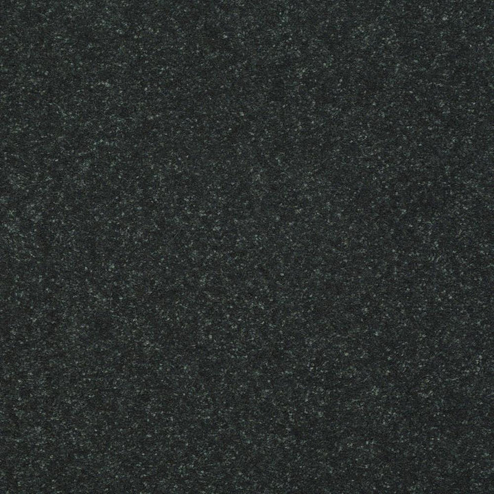 STAINMASTER Essentials Intuition I 12-ft Charcoal Textured Carpet Sample (Interior)