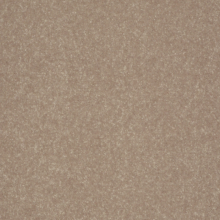 STAINMASTER Essentials Intuition III 12-ft Crisp Khaki Textured Carpet Sample (Interior)