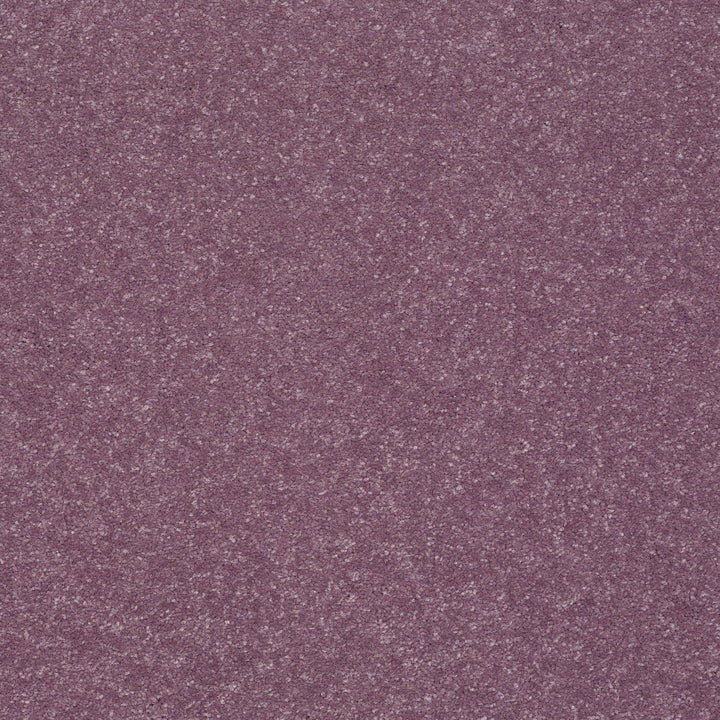 STAINMASTER Essentials Intuition II 12-ft Lavender Textured Carpet Sample (Interior)