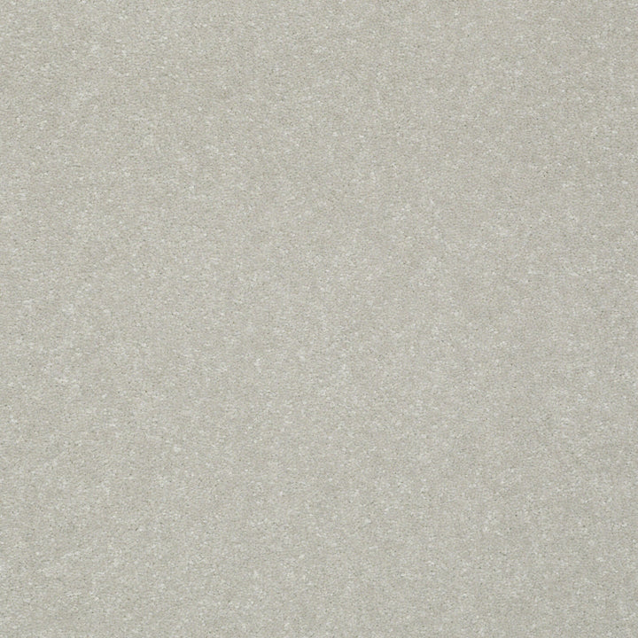STAINMASTER Essentials Intuition III 12-ft Washed Linen Textured Carpet Sample (Interior)