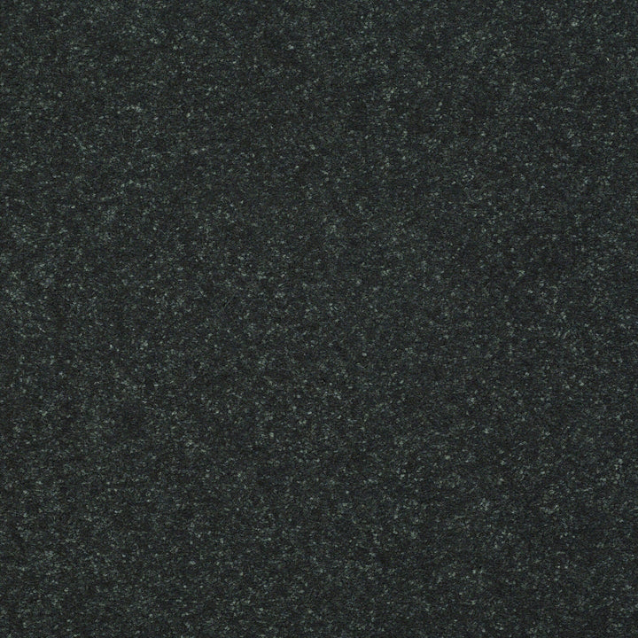 STAINMASTER Essentials Intuition II 12-ft Charcoal Textured Carpet Sample (Interior)