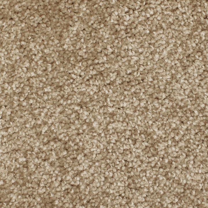 STAINMASTER PetProtect Briarcliffe Hills Chambray Textured Carpet Sample (Interior)