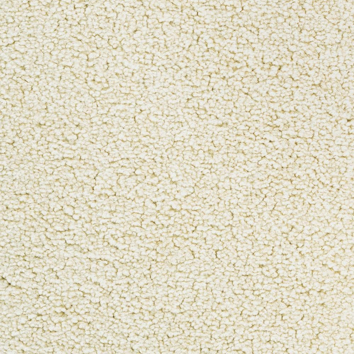 STAINMASTER Active Family Signature Aspen Textured Carpet Sample (Exterior)