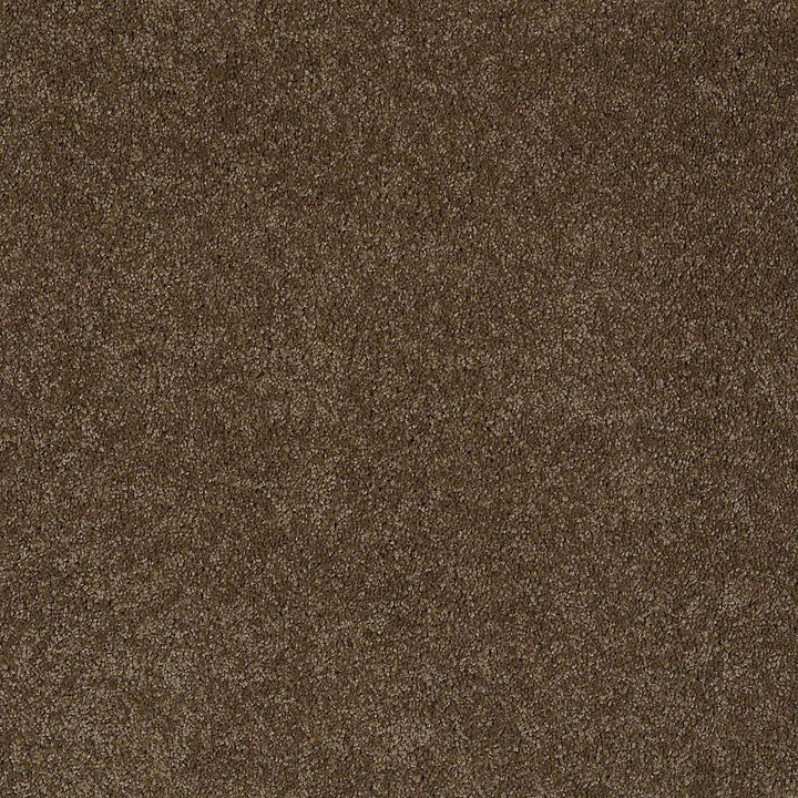 STAINMASTER PetProtect Baxter IV Labrador Textured Carpet Sample, 8-in x 8-in (Interior)