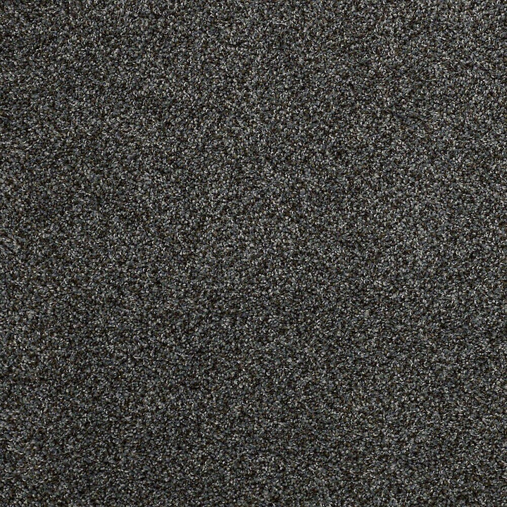 STAINMASTER PetProtect Mineral Bay I Marina 12-ft Textured Carpet Sample, 8-in x 8-in (Interior)