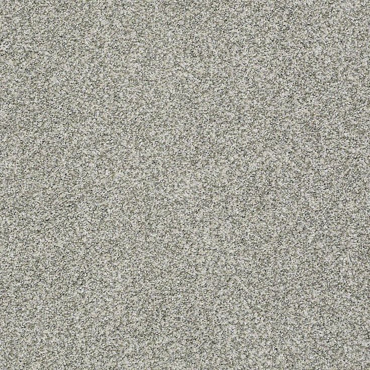 STAINMASTER PetProtect Baxter II Trixie Textured Carpet (Indoor)