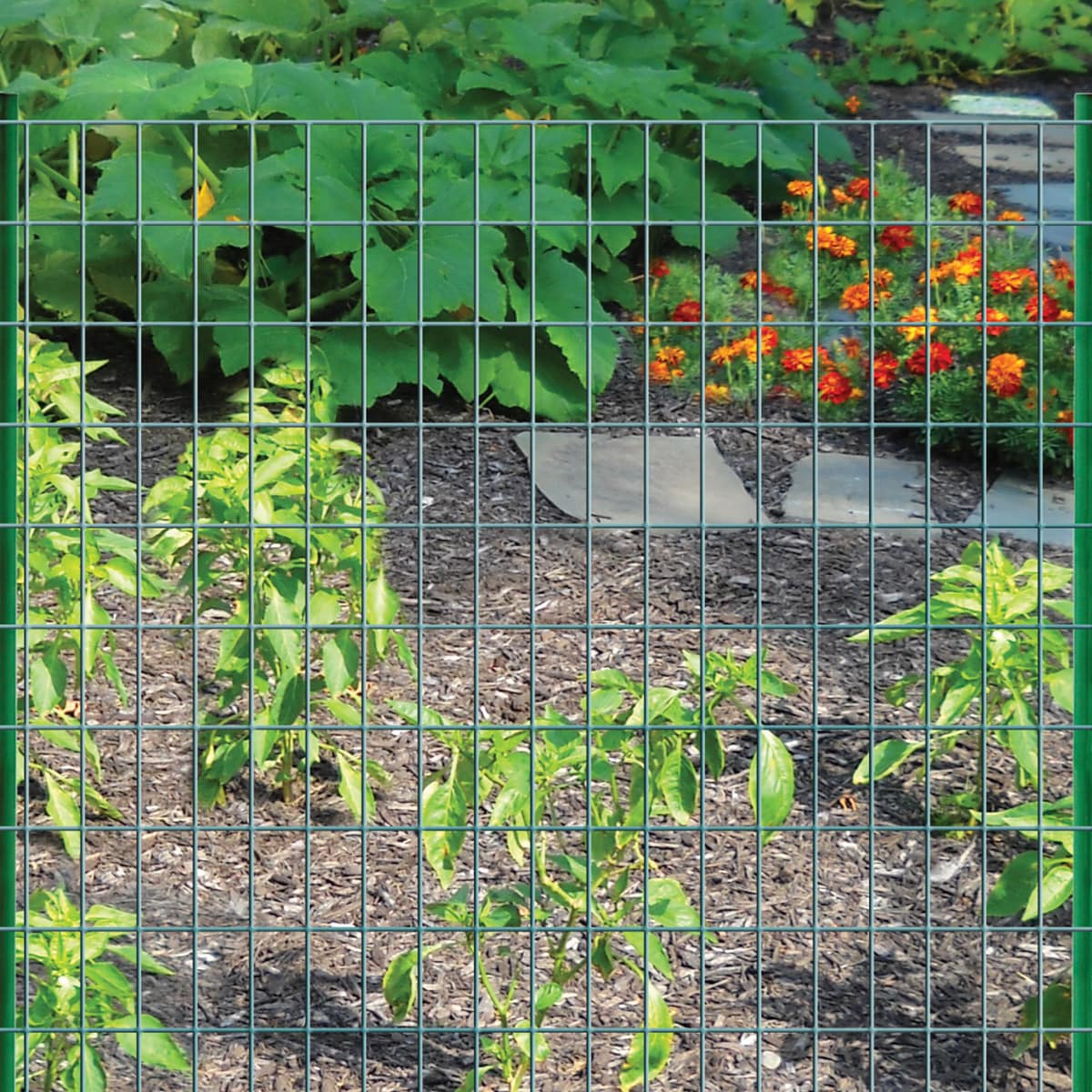 GARDEN CRAFT 50-ft Green PVC Coated Steel Welded Wire Rolled Fencing with Mesh Size 3-in