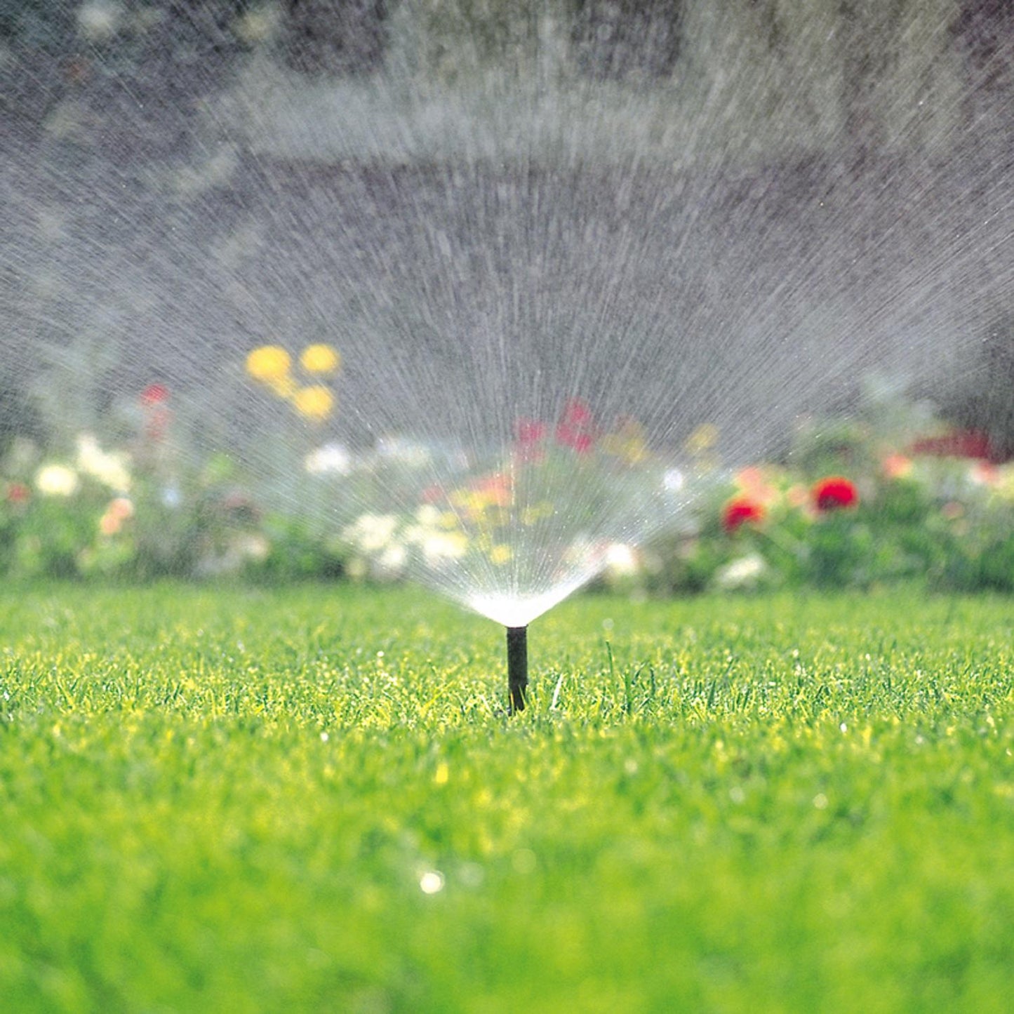 Toro 570 Series 12 in. H Adjustable Pop-Up Spray Head