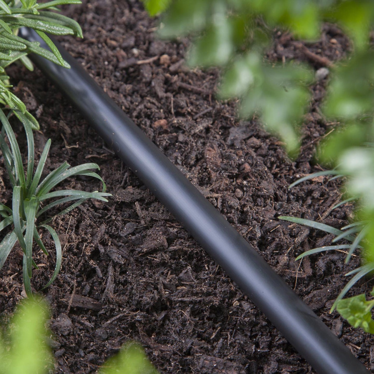 Raindrip Polyethylene Drip Irrigation Tubing, 5/8 in. OD x 500 ft. Length