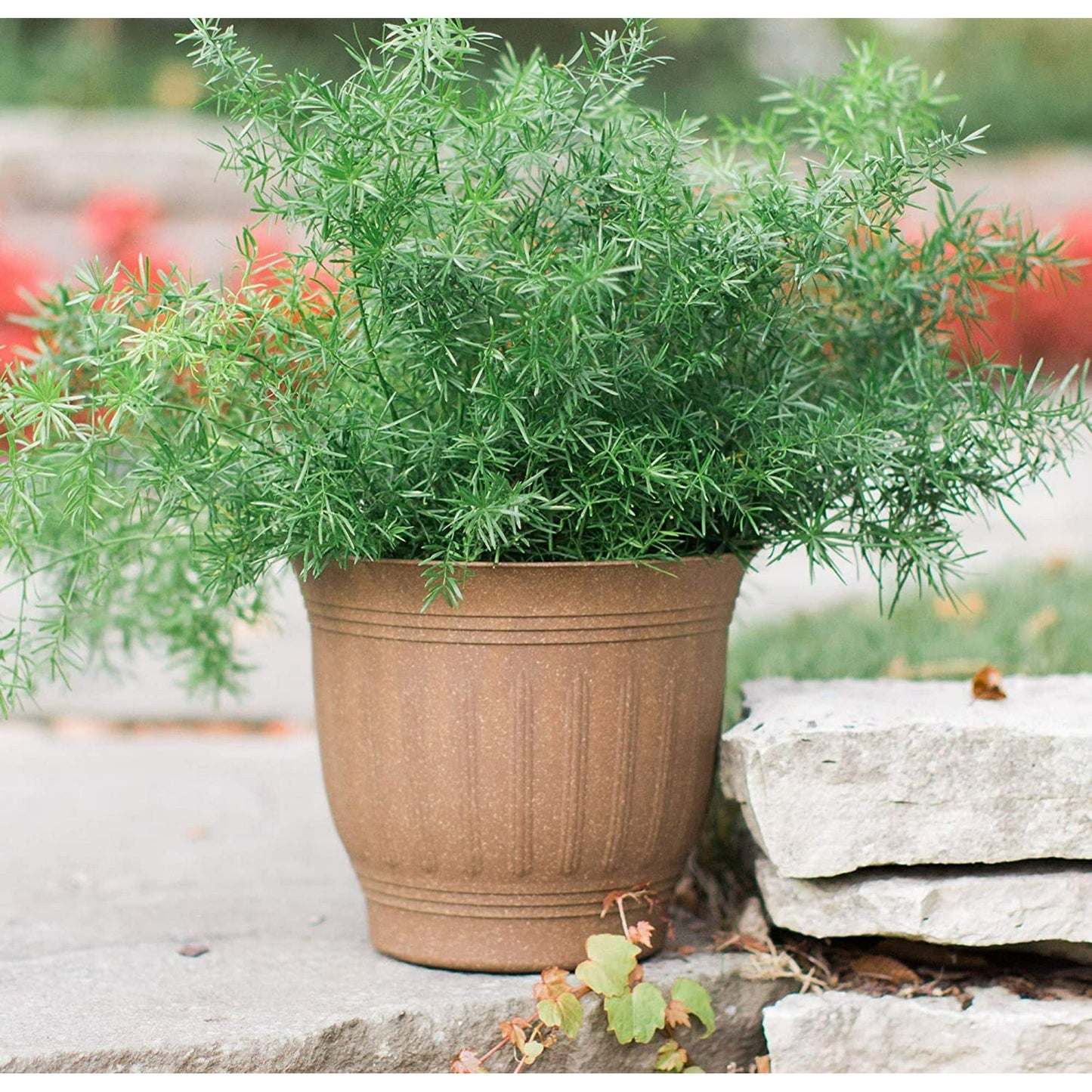Bloem Colonnade 11 in. H x 13.2 in. Dia. Resin Colannade Planter Dark Earth