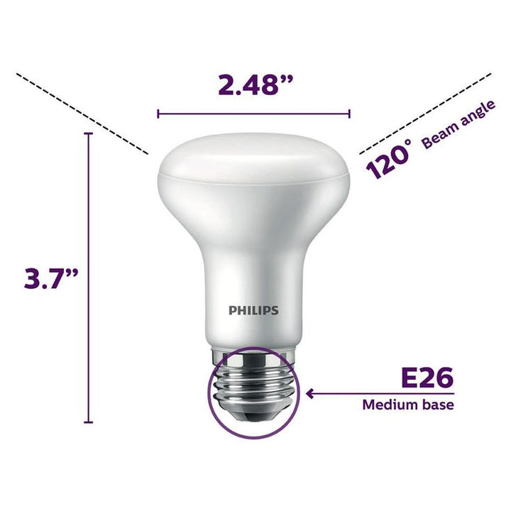 Philips 45-Watt Equivalent R20 Dimmable Flood LED Light Bulb in Daylight (2-Pack)