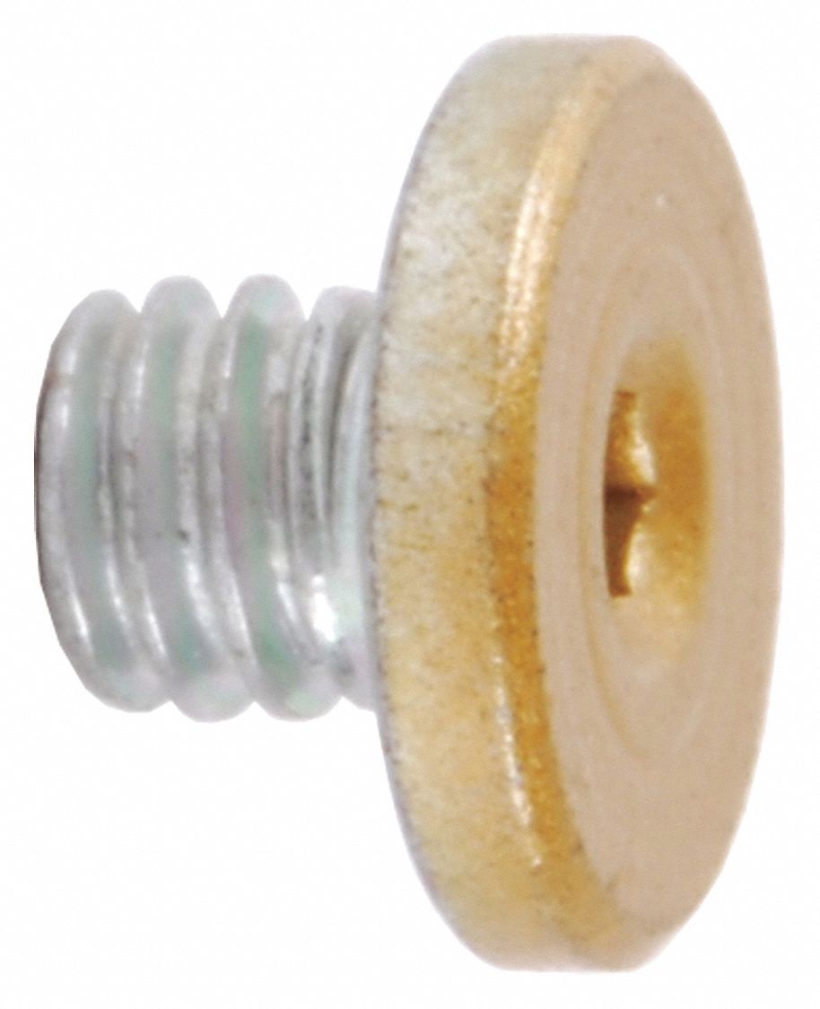 LCN 4040SE Brass Cover Screw for Door Closers