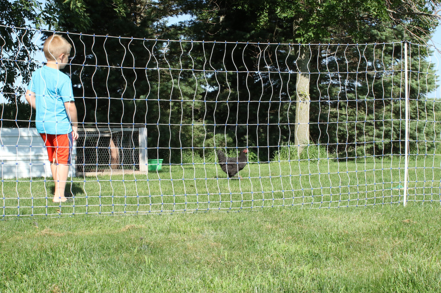 Starkline 82-ft-Gauge Electric Fence Poly Wire