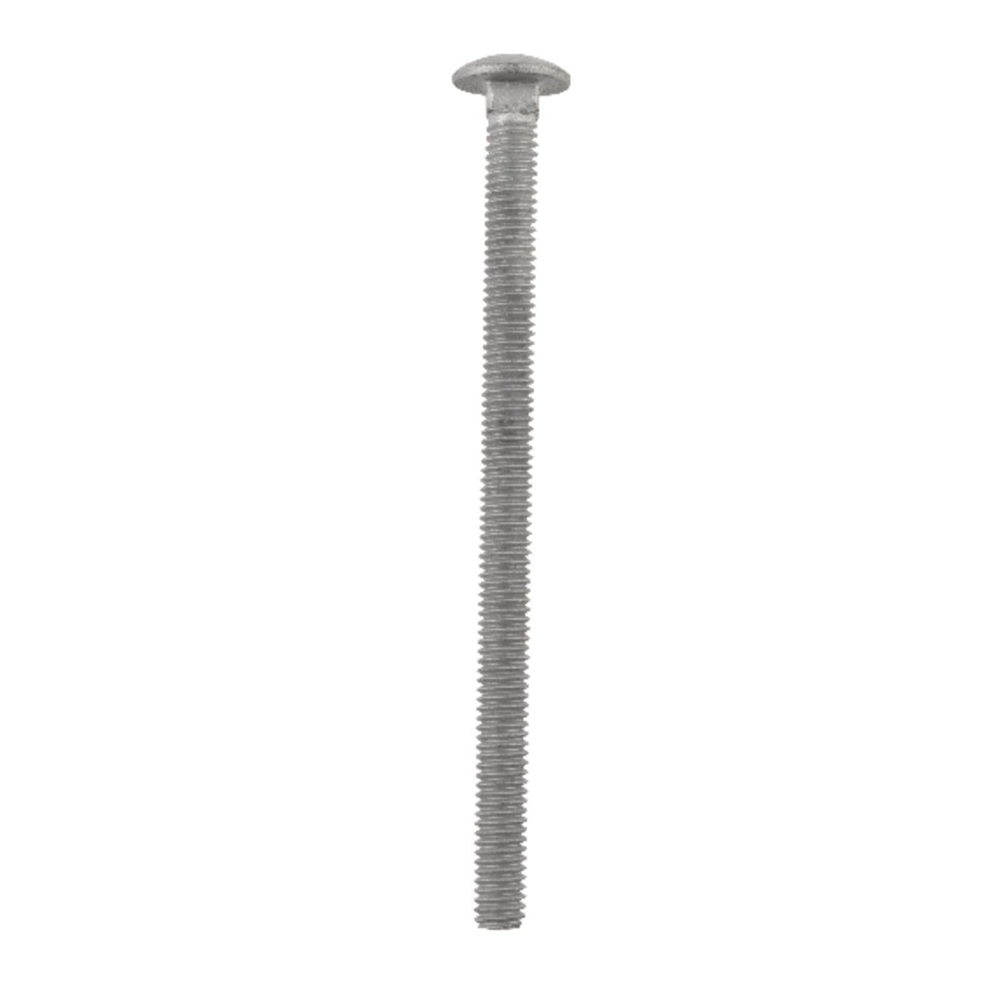 Hillman 5/16 in. x 5 in. Hot Dipped Galvanized Steel Carriage Bolt, 50-Pack