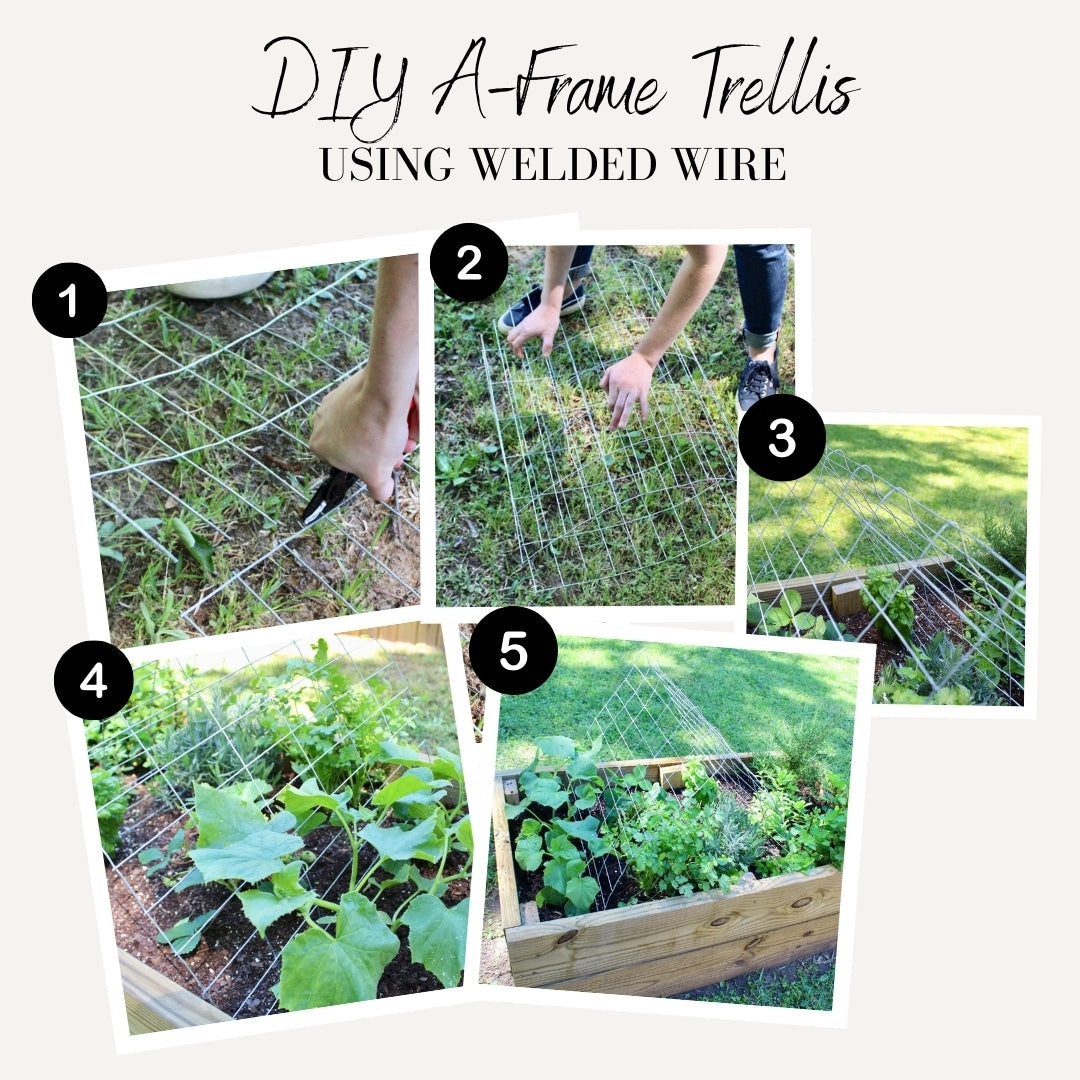 IRONRIDGE Gray Steel Welded Wire Rolled Fencing with Mesh Size 2-in x 4-in